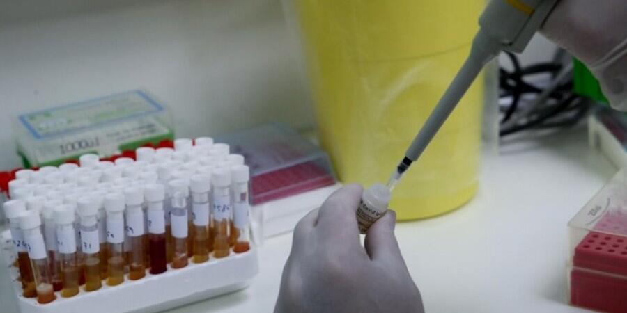 Δεκατρία νέα κρούσματα  thumb