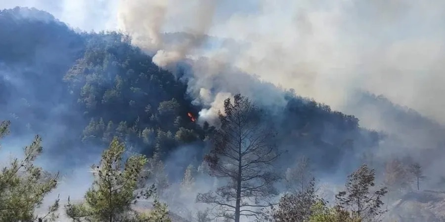 LIVE: Εκκενώνονται κατοικίες στον Φαρμακά - Ενεργοποιήθηκε το Πυρσός (pic&vid) thumb