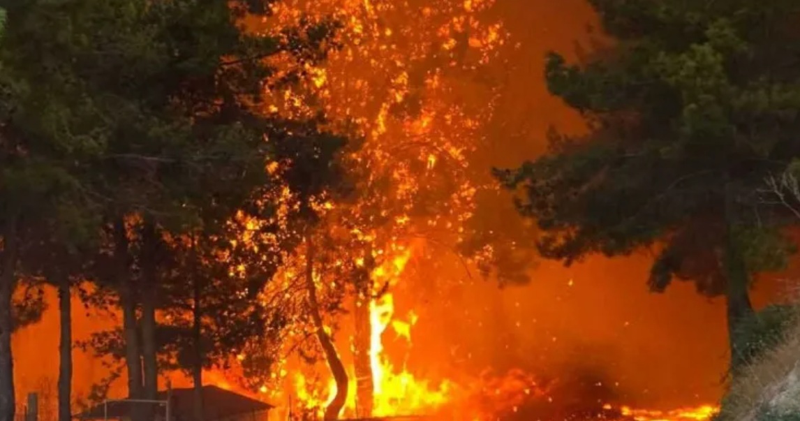 Τραγωδία: Εντοπίστηκε νεκρό πρόσωπο στην περιοχή των πυρκαγιών thumb